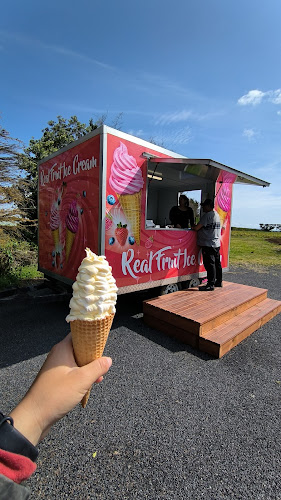 RealFruit Icecream Tuakau - Tuakau