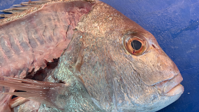 129 Marine Parade, Napier South, Napier 4110, New Zealand