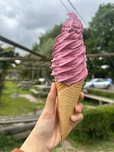 Comentarii opinii despre The Strawberry Patch