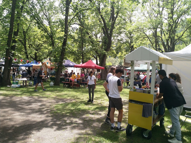 Arrowtown Market Open Times