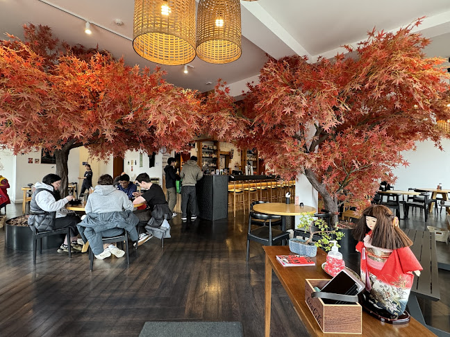 91 Saint Andrew Street, Central Dunedin, Dunedin 9016, New Zealand