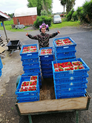 R n' Bees Berry Farm Open Times