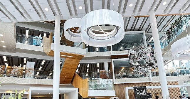 Salt Café Phone number