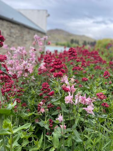 Comentarii opinii despre Pinot Junction -Lakeside Cafe