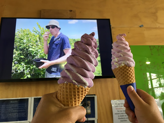 Blueberry Country - Hospitality and gastronomy