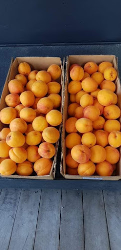 Reviews of Teviot Orchard Fruit Stall in Roxburgh - Hospitality and gastronomy