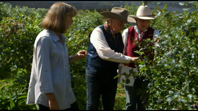 971 Whitemans Valley Road, Whitemans Valley, Upper Hutt 5371, New Zealand