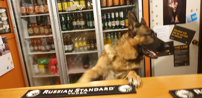 BLACK DOG Tavern - Ormondville