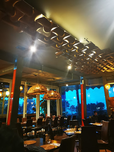 Arborio Restaurant, Cafe & Terrace Bar Phone number