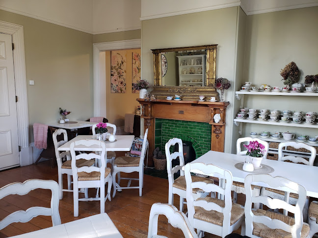 Melrose House Cafe - Hospitality and gastronomy