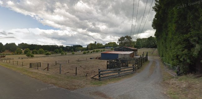 Robert Harris Tea & Coffee Specialists