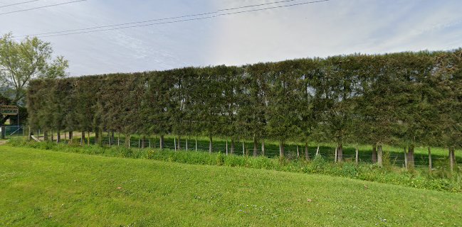 Swanson's Gardens - Levin