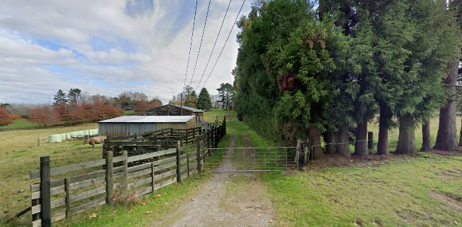 Robert Harris Tea & Coffee Specialists