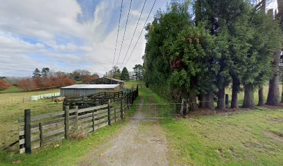 Robert Harris Tea & Coffee Specialists