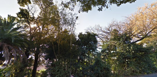 Melrose House Cafe - Hospitality and gastronomy