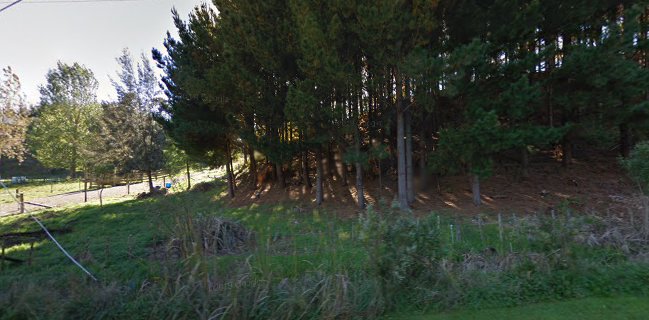 Comentarii opinii despre Freezing Bay