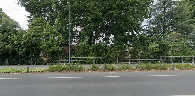 The Strawberry Patch