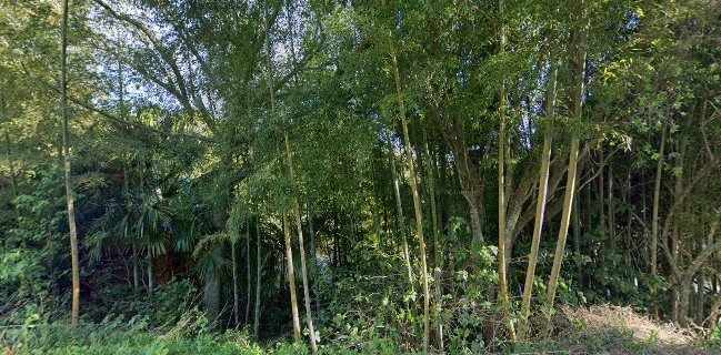 MĀHA Restaurant @ Wharepuke