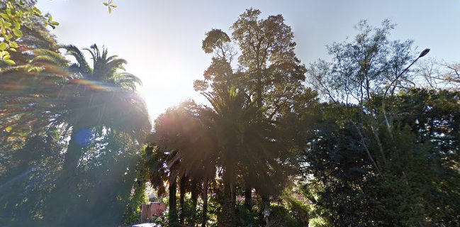 Melrose House Cafe - Nelson