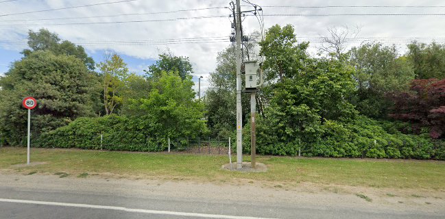 Yummy Fruit Co - Hospitality and gastronomy