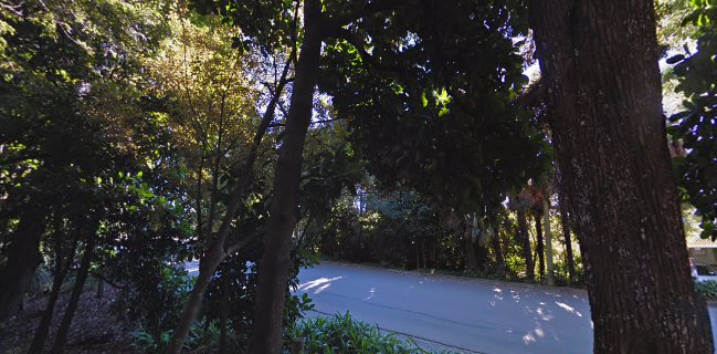 Comentarii opinii despre Melrose House Cafe