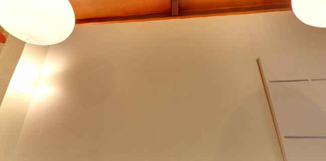 Harvest Cafe - Dunedin