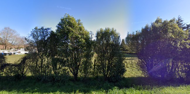 Peonies on Lansdowne - Appleby