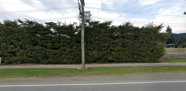 Willows Cafe & Golf Course