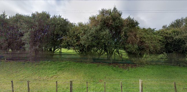 Mamaku Blue Blueberry Experience