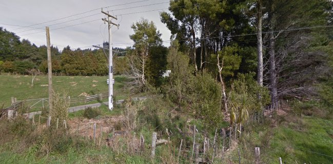 Blueberry Fields Forever (PYO)