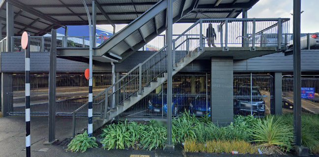 The Dogs Breakfast Trading Company