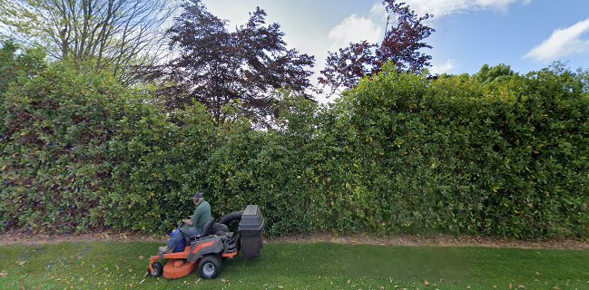 Lily's RanchHouse - Hospitality and gastronomy