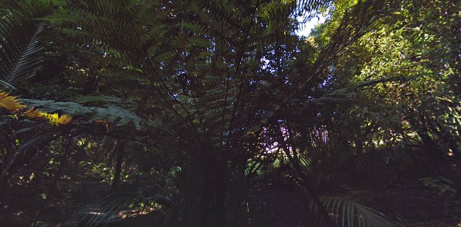 26 Brougham Street, Nelson South, Nelson 7010, New Zealand