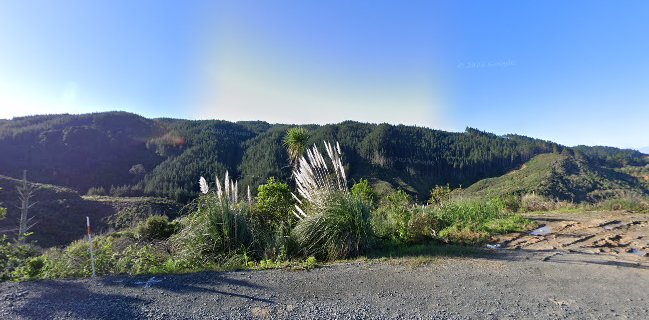 Helipad Manton forest