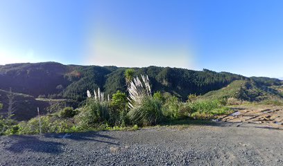 Helipad Manton forest