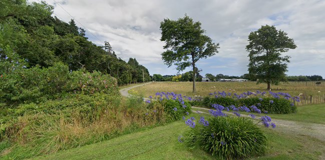 Havoc Coffee Roasting Ltd