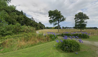 Havoc Coffee Roasting Ltd